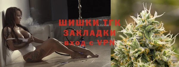 тгк Абаза