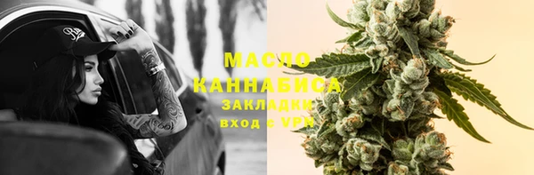 тгк Абаза