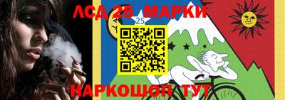 винт Дубна