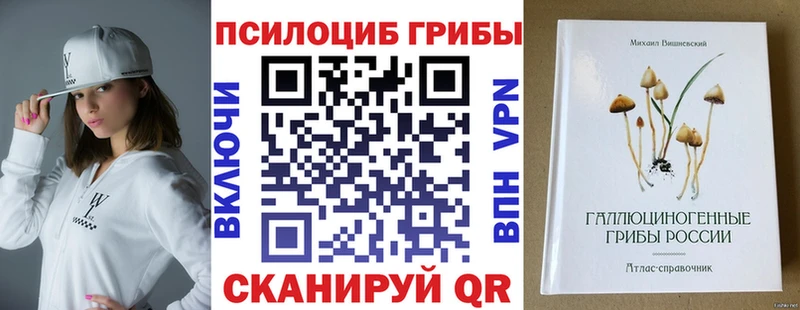 Галлюциногенные грибы Psilocybe  Аксай 