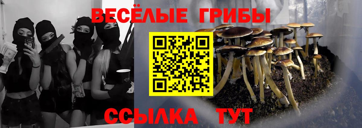 Аксай  Псилоцибиновые грибы GOLDEN TEACHER  Вход с VPN  Псилоцибиновые грибы Psilocybine cubensis 